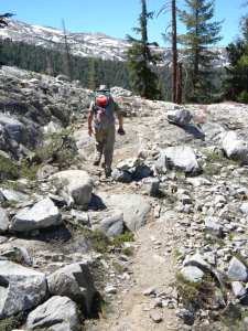 Wilderness Watch's efforts help preserve the Emigrant Wilderness--Black Bear Trail