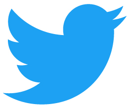 Twitter Logo Blue